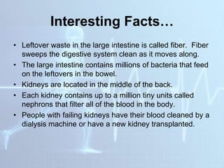 Interesting Facts…
• Leftover waste in the large intestine is called fiber. Fiber
sweeps the digestive system clean as it moves along.
• The large intestine contains millions of bacteria that feed
on the leftovers in the bowel.
• Kidneys are located in the middle of the back.
• Each kidney contains up to a million tiny units called
nephrons that filter all of the blood in the body.
• People with failing kidneys have their blood cleaned by a
dialysis machine or have a new kidney transplanted.
 