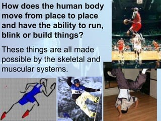 How does the human body
move from place to place
and have the ability to run,
blink or build things?
These things are all made
possible by the skeletal and
muscular systems.
 