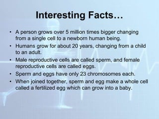 Interesting Facts…
• A person grows over 5 million times bigger changing
from a single cell to a newborn human being.
• Humans grow for about 20 years, changing from a child
to an adult.
• Male reproductive cells are called sperm, and female
reproductive cells are called eggs.
• Sperm and eggs have only 23 chromosomes each.
• When joined together, sperm and egg make a whole cell
called a fertilized egg which can grow into a baby.
 