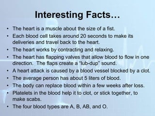Interesting Facts…
• The heart is a muscle about the size of a fist.
• Each blood cell takes around 20 seconds to make its
deliveries and travel back to the heart.
• The heart works by contracting and relaxing.
• The heart has flapping valves that allow blood to flow in one
direction. The flaps create a “lub-dup” sound.
• A heart attack is caused by a blood vessel blocked by a clot.
• The average person has about 5 liters of blood.
• The body can replace blood within a few weeks after loss.
• Platelets in the blood help it to clot, or stick together, to
make scabs.
• The four blood types are A, B, AB, and O.
 