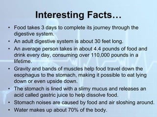 Interesting Facts…
• Food takes 3 days to complete its journey through the
digestive system.
• An adult digestive system is about 30 feet long.
• An average person takes in about 4.4 pounds of food and
drink every day, consuming over 110,000 pounds in a
lifetime.
• Gravity and bands of muscles help food travel down the
esophagus to the stomach, making it possible to eat lying
down or even upside down.
• The stomach is lined with a slimy mucus and releases an
acid called gastric juice to help dissolve food.
• Stomach noises are caused by food and air sloshing around.
• Water makes up about 70% of the body.
 