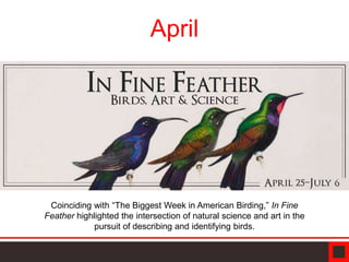 April
Crossing Cultures
Coinciding with “The Biggest Week in American Birding,” In Fine
Feather highlighted the intersection of natural science and art in the
pursuit of describing and identifying birds.
 