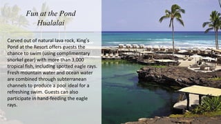 Fun at the Pond
Hualalai
Carved out of natural lava rock, King’s
Pond at the Resort offers guests the
chance to swim (using complimentary
snorkel gear) with more than 3,000
tropical fish, including spotted eagle rays.
Fresh mountain water and ocean water
are combined through subterranean
channels to produce a pool ideal for a
refreshing swim. Guests can also
participate in hand-feeding the eagle
rays.
 