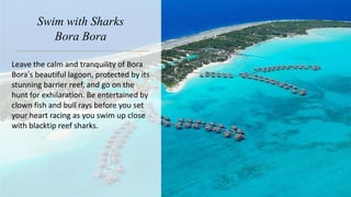 Swim with Sharks
Bora Bora
Leave the calm and tranquility of Bora
Bora’s beautiful lagoon, protected by its
stunning barrier reef, and go on the
hunt for exhilaration. Be entertained by
clown fish and bull rays before you set
your heart racing as you swim up close
with blacktip reef sharks.
 