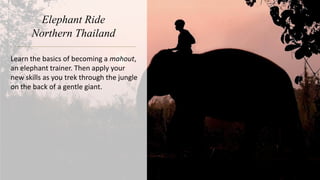 Elephant Ride
Northern Thailand
Learn the basics of becoming a mahout,
an elephant trainer. Then apply your
new skills as you trek through the jungle
on the back of a gentle giant.
 