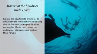 Mantas at the Maldvies
Kuda Hurra
Explore the aquatic side of nature. Be
amazed by the remote shores and diving
sites of the atolls, often populated by
nothing but Manta rays. Untouched
underwater discoveries are waiting
there for you.
 