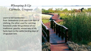 Whooping It Up
Carmelo, Uruguay
Learn to tell bombachas
from boleadoras (clue: one is an item of
clothing, the other used for catching
livestock) under the guidance of our
traditional gaucho, whose way of life
harks back to the cattle-herding days of
Uruguayan lore.
 