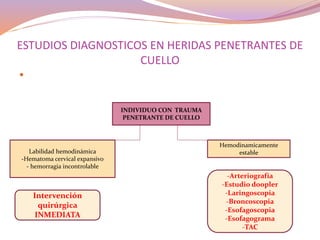 ESTUDIOS DIAGNOSTICOS EN HERIDAS PENETRANTES DE
CUELLO
 DEPENDEN DEL MECANISMO Y LA LOCALIZACION DE LA
LESION.
INDIVIDUO CON TRAUMA
PENETRANTE DE CUELLO
Labilidad hemodinámica
-Hematoma cervical expansivo
- hemorragia incontrolable
Hemodinamicamente
estable
requiere
Intervención
quirúrgica
INMEDIATA
Modalidades Dx para tto selectivo
-Arteriografía
-Estudio doopler
-Laringoscopia
-Broncoscopia
-Esofagoscopia
-Esofagograma
-TAC
 