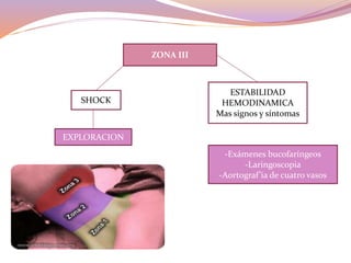 ZONA III
SHOCK
EXPLORACION
ESTABILIDAD
HEMODINAMICA
Mas signos y síntomas
-Exámenes bucofaríngeos
-Laringoscopia
-Aortograf’ia de cuatro vasos
Tto selectivo
 