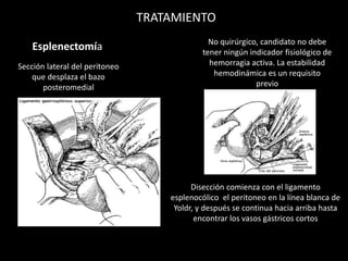 TRATAMIENTO
No quirúrgico, candidato no debe
tener ningún indicador fisiológico de
hemorragia activa. La estabilidad
hemodinámica es un requisito
previo
Esplenectomía
Sección lateral del peritoneo
que desplaza el bazo
posteromedial
Disección comienza con el ligamento
esplenocólico el peritoneo en la línea blanca de
Yoldr, y después se continua hacia arriba hasta
encontrar los vasos gástricos cortos
 