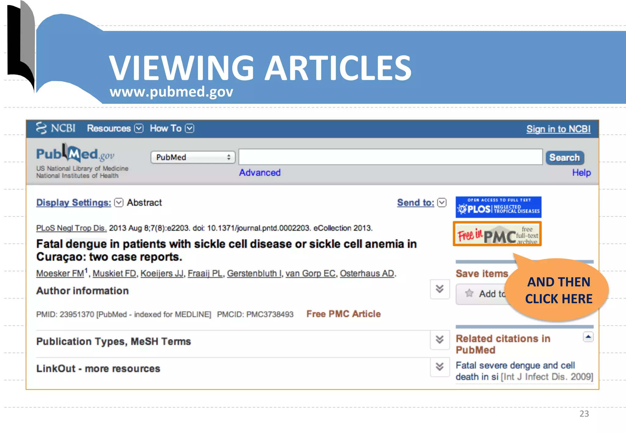 23	
  
www.pubmed.gov	
  
AND	
  THEN	
  
CLICK	
  HERE	
  
VIEWING	
  ARTICLES	
  
 