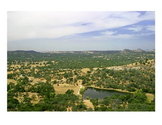 Dark Background Slide
Example
!  Access the built-in
slide layouts for this
template on the Home
tab under Layout.
!  Click the small
triangle to see all the
available layouts
 