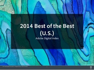 © 2015 Adobe Systems Incorporated. All Rights Reserved. Adobe Confidential. 1
2014 Best of the Best
(U.S.)
Adobe Digital Index
 
