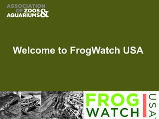 Welcome to FrogWatch USA
 