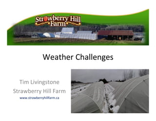 Weather	
  Challenges
Tim	
  Livingstone
Strawberry	
  Hill	
  Farm
www.strawberryhillfarm.ca
 