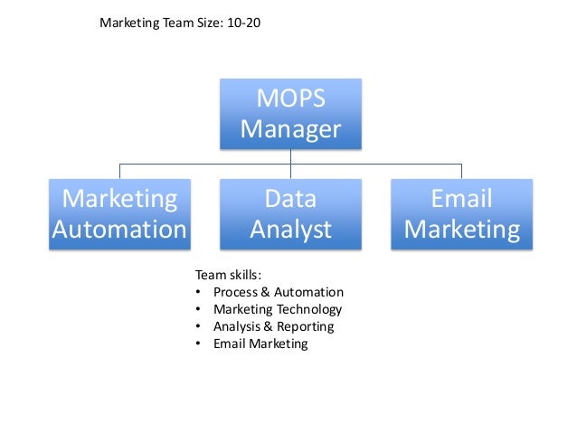 Marketing Automation Org Chart