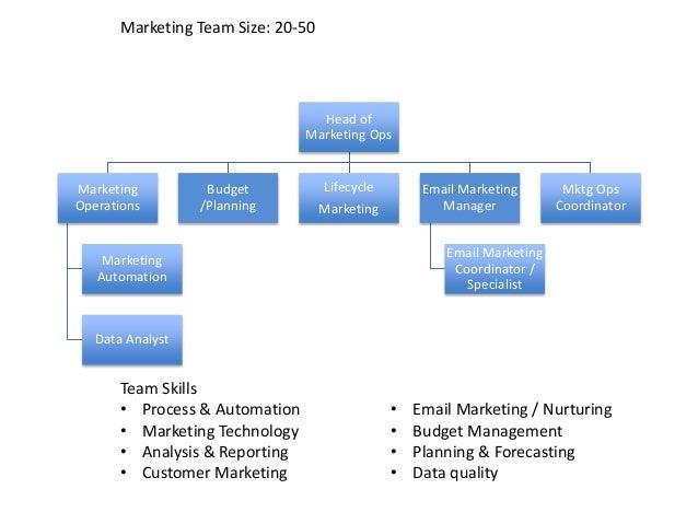 Marketing Automation Org Chart