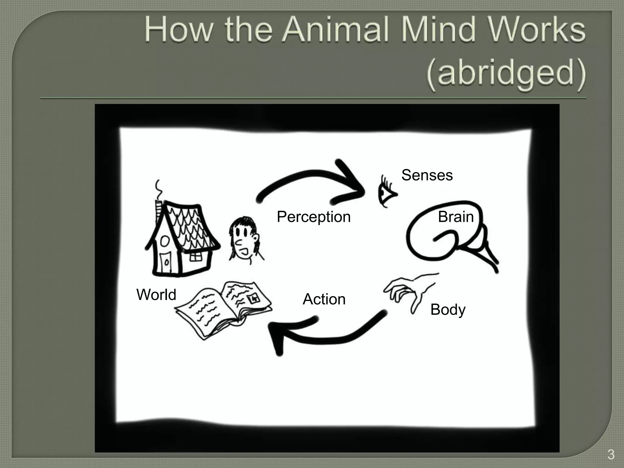 Brain
Body
World
Perception
Action
Senses
3
 