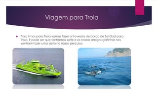 Viagem para Troia
 Para irmos para Troia vamos fazer a travessia de barco de Setúbal para
Troia. E pode ser que tenhamos sorte e os nossos amigos golfinhos nos
venham fazer uma visita no nosso percurso.
 