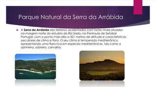 Parque Natural da Serra da Arrábida
 A Serra da Arrábida são terrenos acidentados com fortes níveis situados
na margem norte do estuário do Rio Sado, na Península de Setúbal,
Portugal, com o ponto mais alto a 501 metros de altitude e características
peculiares de clima e flora. O seu clima é temperado mediterrânico,
apresentando uma flora rica em espécies mediterrânicas, tais como a
azinheira, sobreiro, carvalho.
 