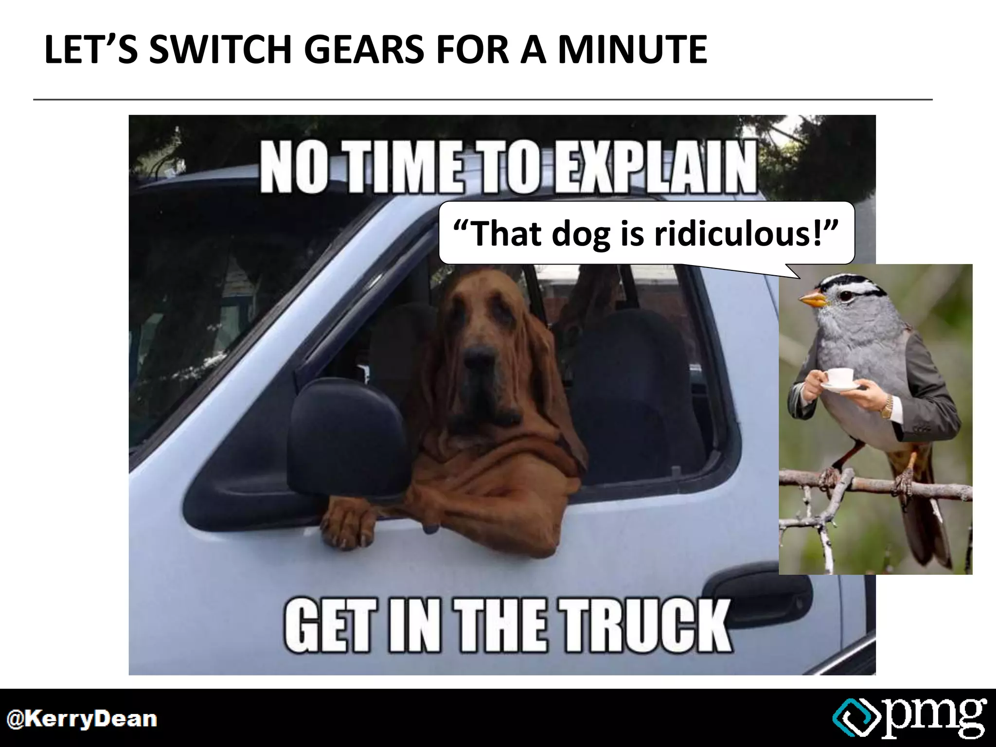 LET’S SWITCH GEARS FOR A MINUTE
“That dog is ridiculous!”
 