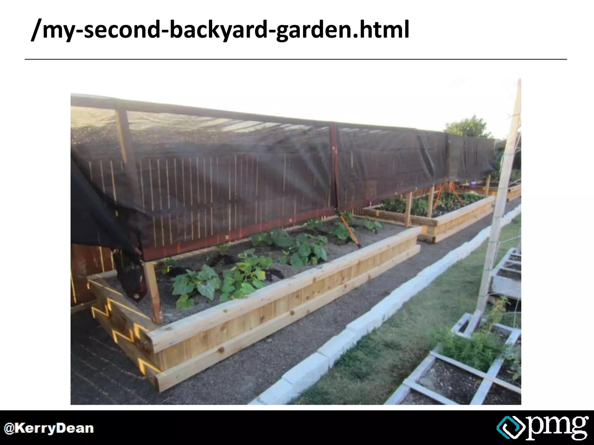 /my-second-backyard-garden.html
 
