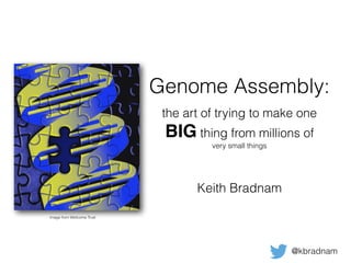 Genome Assembly:
the art of trying to make one
BIG thing from millions of
very small things
Keith Bradnam
@kbradnam
Image from Wellcome Trust
 