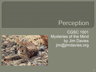 CGSC 1001
Mysteries of the Mind
by Jim Davies
jim@jimdavies.org
1
 