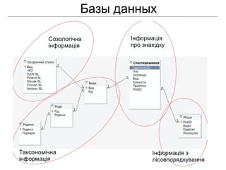 Базы данных
 