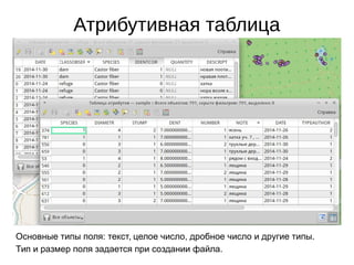 Атрибутивная таблица
Основные типы поля: текст, целое число, дробное число и другие типы.
Тип и размер поля задается при создании файла.
 