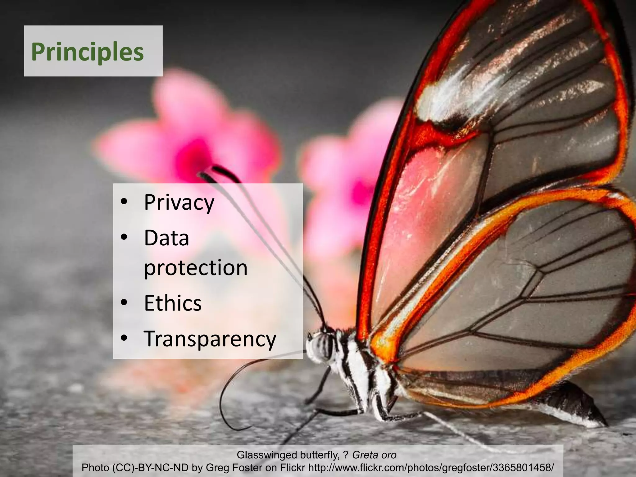 Glasswinged butterfly, ? Greta oro
Photo (CC)-BY-NC-ND by Greg Foster on Flickr http://www.flickr.com/photos/gregfoster/3365801458/
Principles
• Privacy
• Data
protection
• Ethics
• Transparency
 