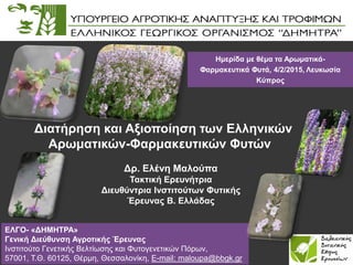 Διατήρηση και Αξιοποίηση των Ελληνικών
Αρωματικών-Φαρμακευτικών Φυτών
ΕΛΓΟ- «ΔΗΜΗΤΡΑ»
Γενική Διεύθυνση Αγροτικής Έρευνας
Ινστιτούτο Γενετικής Βελτίωσης και Φυτογενετικών Πόρων,
57001, Τ.Θ. 60125, Θέρμη, Θεσσαλονίκη, E-mail: maloupa@bbgk.gr
Δρ. Ελένη Μαλούπα
Τακτική Eρευνήτρια
Διευθύντρια Ινστιτούτων Φυτικής
Έρευνας Β. Ελλάδας
Ημερίδα με θέμα τα Αρωματικά-
Φαρμακευτικά Φυτά, 4/2/2015, Λευκωσία
Κύπρος
 