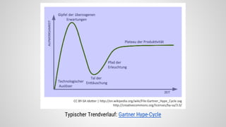 Typischer Trendverlauf: Gartner Hype-Cycle
 