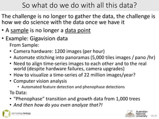 So what do we do with all this data?
The challenge is no longer to gather the data, the challenge is
how we do science with the data once we have it
• A sample is no longer a data point
• Example: Gigavision data
From Sample:
• Camera hardware: 1200 images (per hour)
• Automate stitching into panoramas (5,000 tiles images / pano /hr)
• Need to align time-series images to each other and to the real
world (despite hardware failures, camera upgrades)
• How to visualize a time-series of 22 million images/year?
• Computer vision analysis
• Automated feature detection and phenophase detections
To Data:
• “Phenophase” transition and growth data from 1,000 trees
• And then how do you even analyze that?!
18/20
 