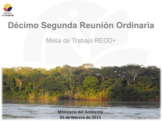Décimo Segunda Reunión Ordinaria
Mesa de Trabajo REDD+
Ministerio del Ambiente
05 de febrero de 2015
 