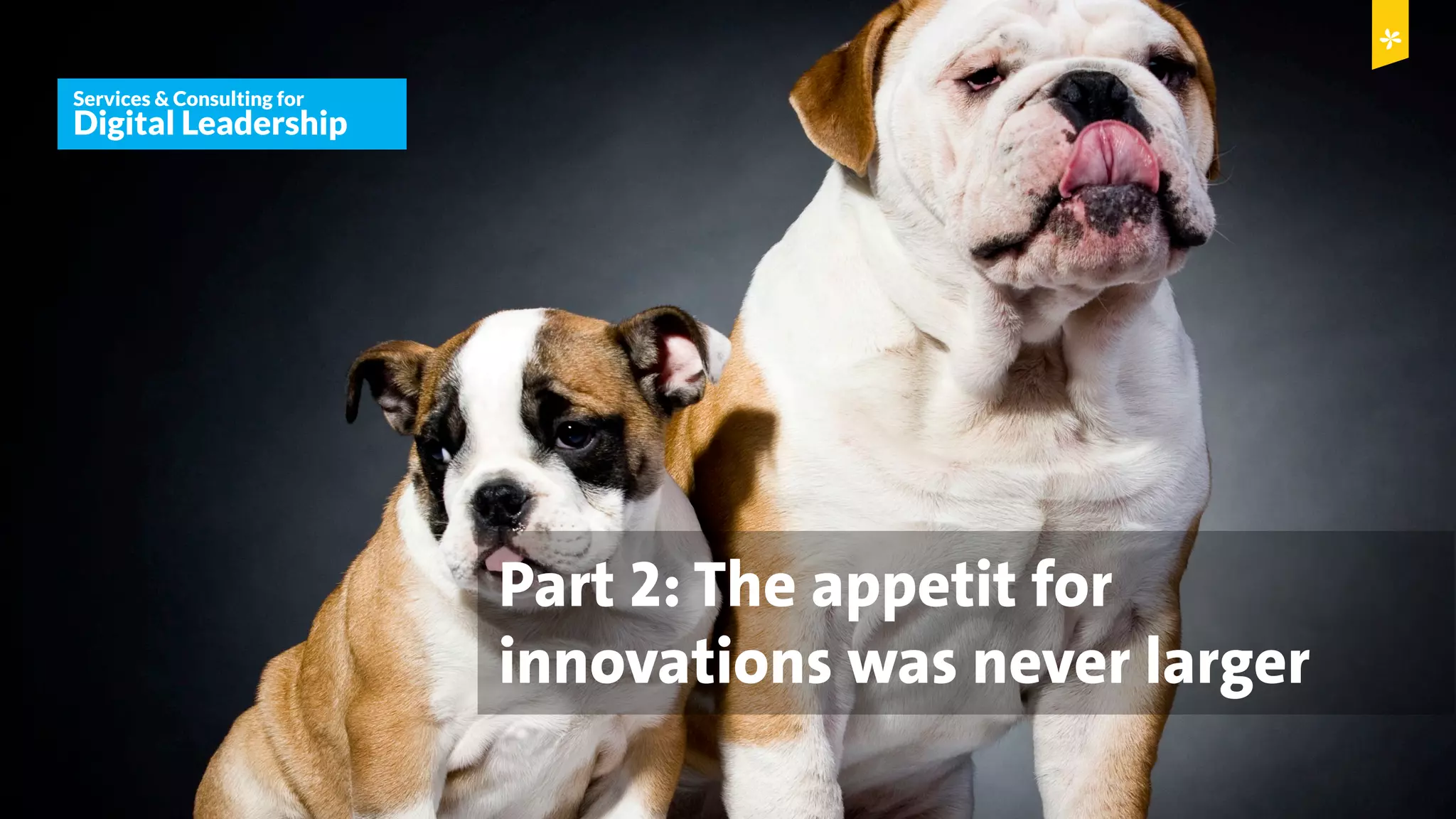 © Copyright 2015 Digital Leadership GmbH 38
Services & Consulting for
Digital Leadership
© Copyright 2014 Digital Leadership GmbH
Services & Consulting for
Digital Leadership
Part 2: The appetit for
innovations was never larger
 