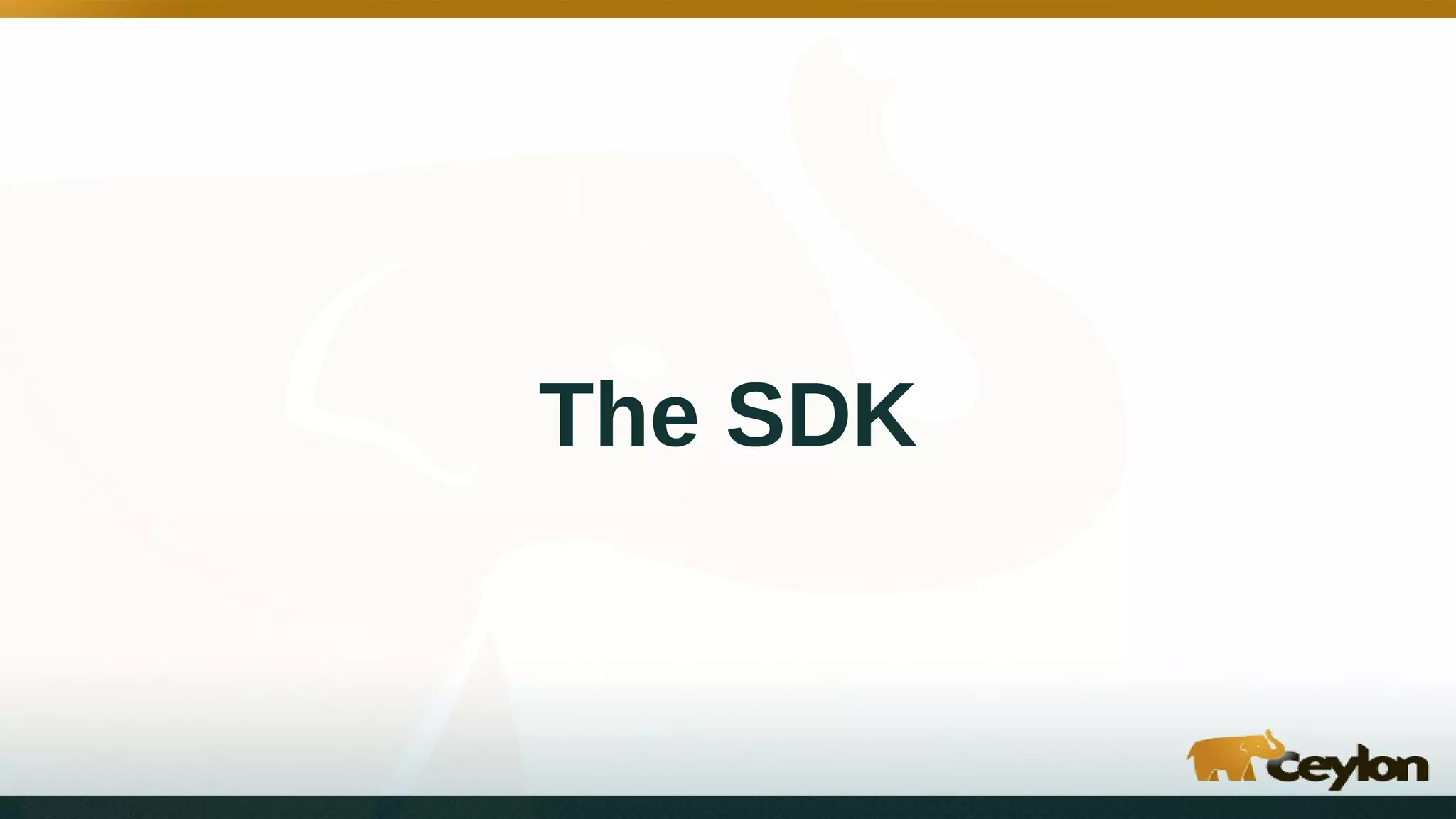 The SDK
 