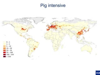 Modelling pig and poultry production systems: computational and conceptual challenges