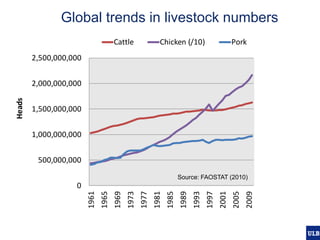 Modelling pig and poultry production systems: computational and conceptual challenges