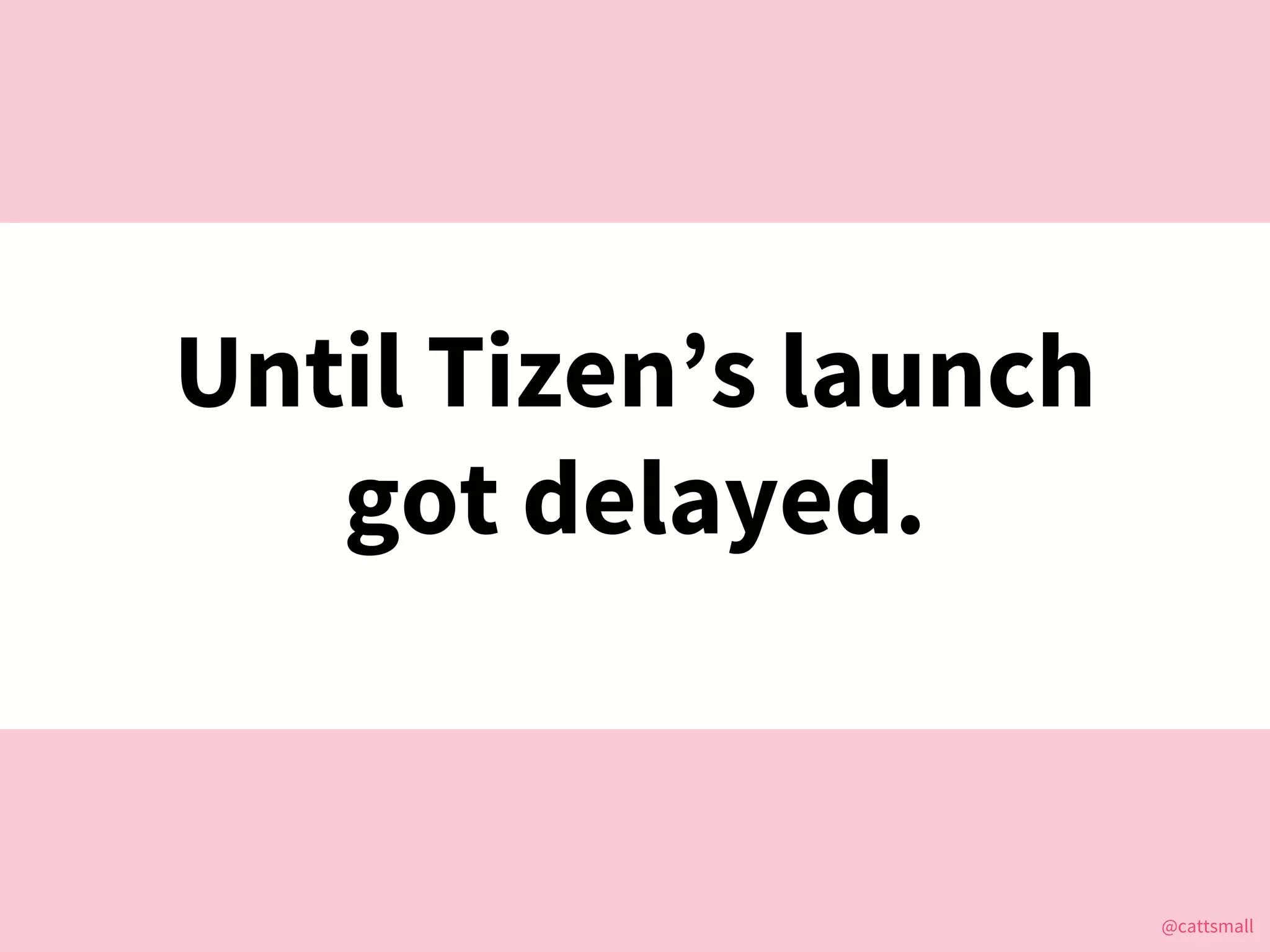 @cattsmall@cattsmall
Until Tizen’s launch
got delayed.
 