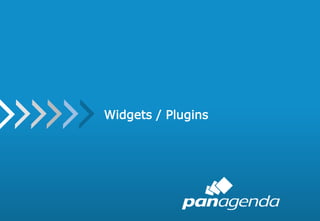 47
Widgets / Plugins
 