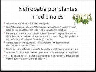 Nefropatía por plantas
medicinales
0 Aristolochia spp  nefritis intersticial aguda
0 Años 90 confusión entre Aristolochia fangi y Stephania tetranda produce
casos de toxicidad renal con fallo renal y transplante o dialisis.
0 Plantas que producen hipo o hiperpotasemia con el riesgo consecuente,
ejemplo el extracto de regaliz que consumido durante largo tiempo lleva a
retención de sodio e hipopotasemia secundaria
0 Plantas ricas en antraquinonas (efecto laxante)  desequilibrios
electrolíticos e hipopotasemia
0 Diente de león, ortiga común, cola de caballo y alfalfa son ricas en potasio
0 Ruibarbo rico en ácido oxálico , puede incrementar riesgo de nefrolitiasis
0 AT!! plantas con efecto diurético por cambios electrolíticos y desequilibrios
hídricos (enebro, perejil, cola de caballo...)
 