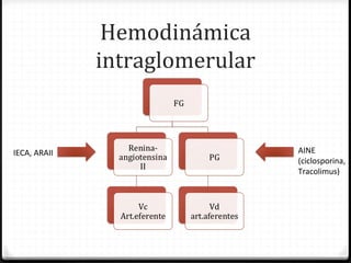 Hemodinámica
intraglomerular
AINE
(ciclosporina,
Tracolimus)
IECA, ARAII
 