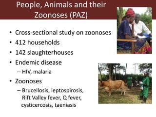 Wildlife-livestock-human interface: recognising drivers of disease