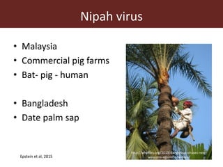 Wildlife-livestock-human interface: recognising drivers of disease