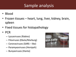 Wildlife-livestock-human interface: recognising drivers of disease