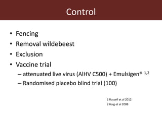 Wildlife-livestock-human interface: recognising drivers of disease