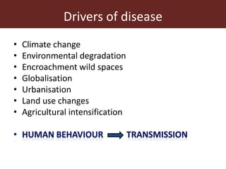 Wildlife-livestock-human interface: recognising drivers of disease
