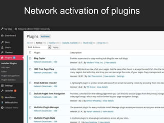 Network activation of plugins
 