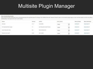 Multisite Plugin Manager
 